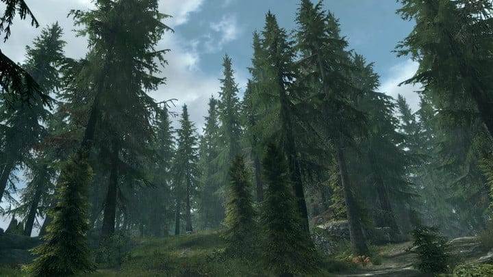 best skyrim mods - Skyrim Flora Overhaul